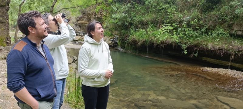 Des nouvelles de notre forêt dans l'Hérault update