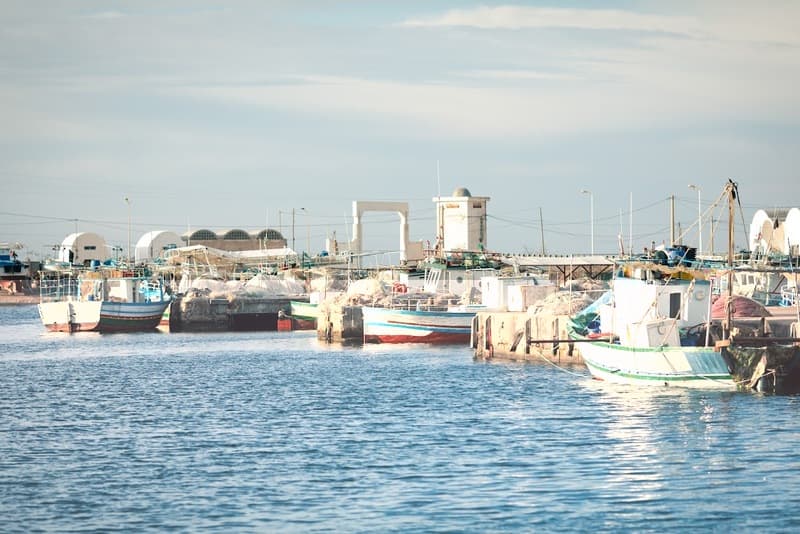 Cap sur 2025 pour Earthwake : De nouveaux horizons pour la lutte contre la pollution plastique update