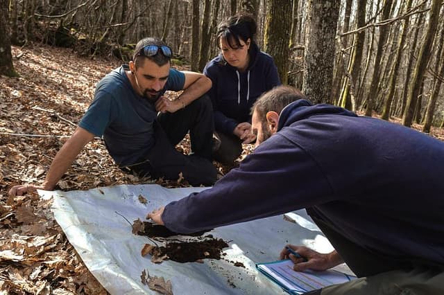 Impact image for diagnostic de parcelle auprès de propriétaires forestiers