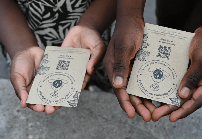 Impact image for sachets de graines à planter par les enfants