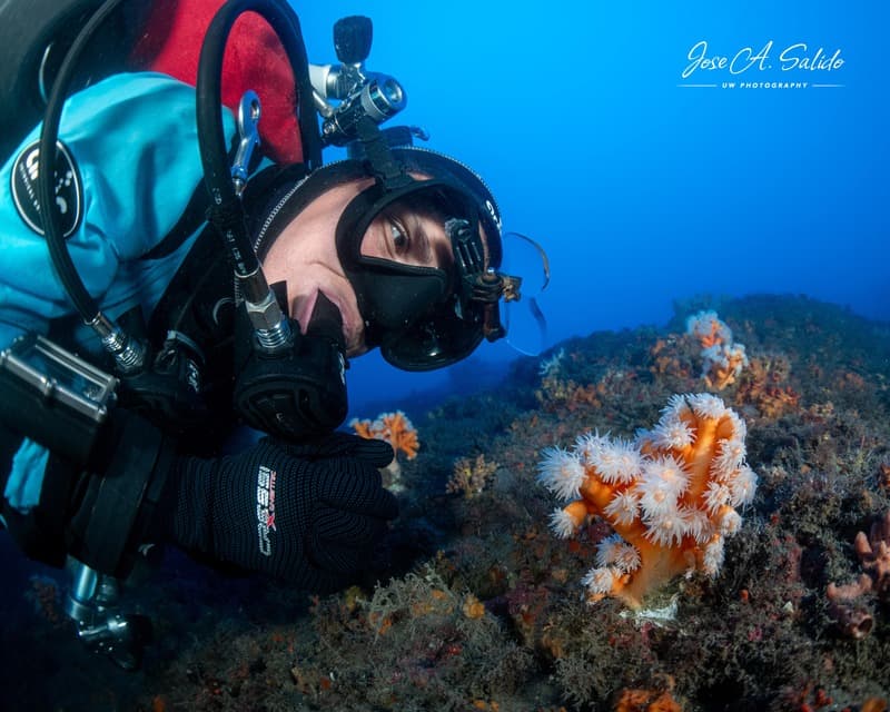 In the Mediterranean, corals like cold temperatures update