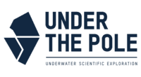 Under The Pole