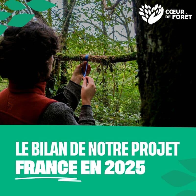 The results of our France in 2025 project update