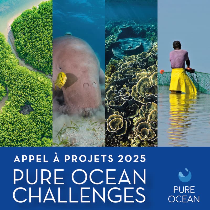 Appel à Projets 2025 : la recherche océanique a besoin de vous ! update
