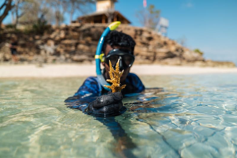 🪸 A look back at 2024 at Coral Guardian update