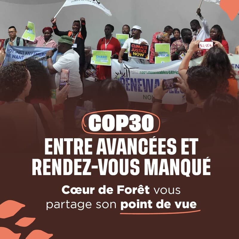 COP30: between progress and missed opportunities, the view from Cœur de Forêt update