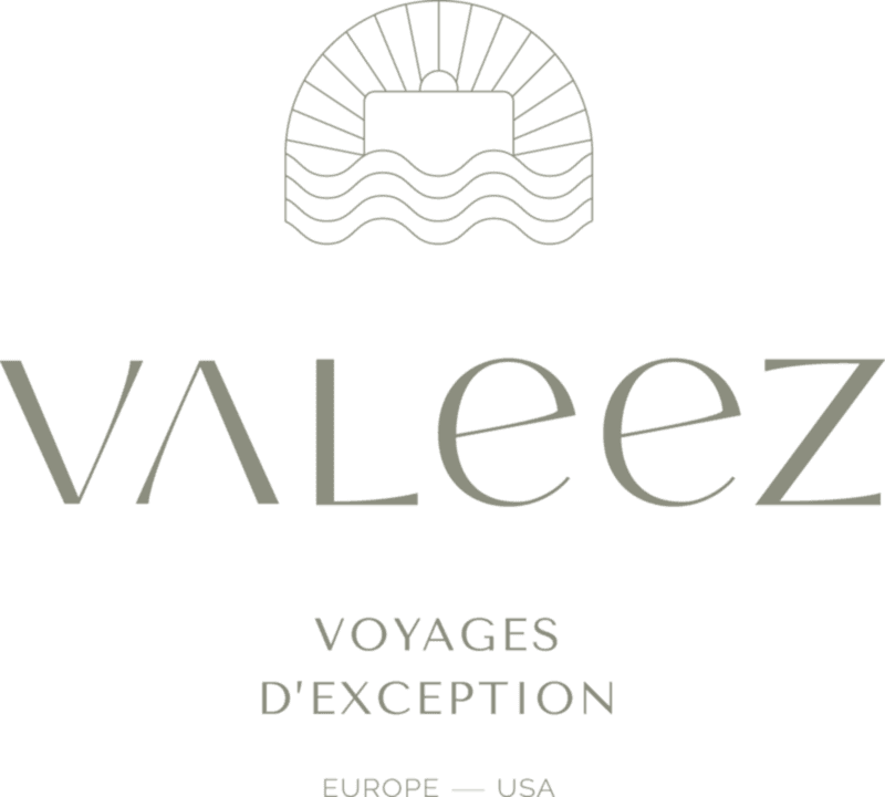 VALEEZ logo
