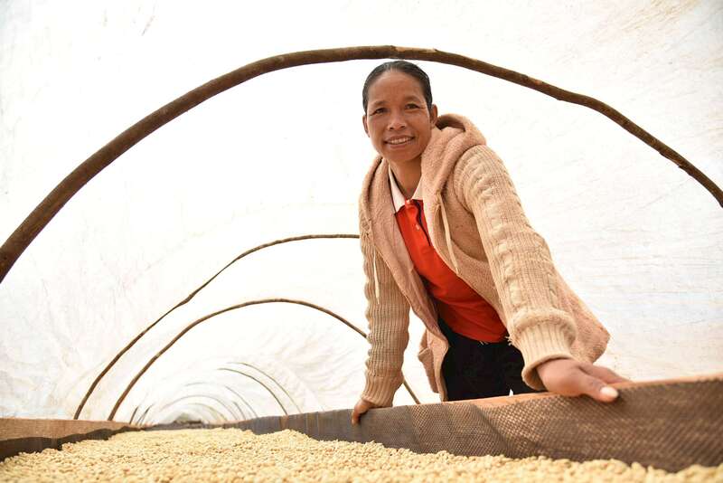 Portrait of Chandy, coffee grower in Laos update