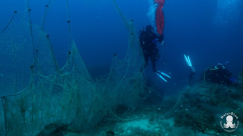 Retrait de 3 filets sur la zone Natura 2000 Antibes, Cannes et Îles de Lérins update