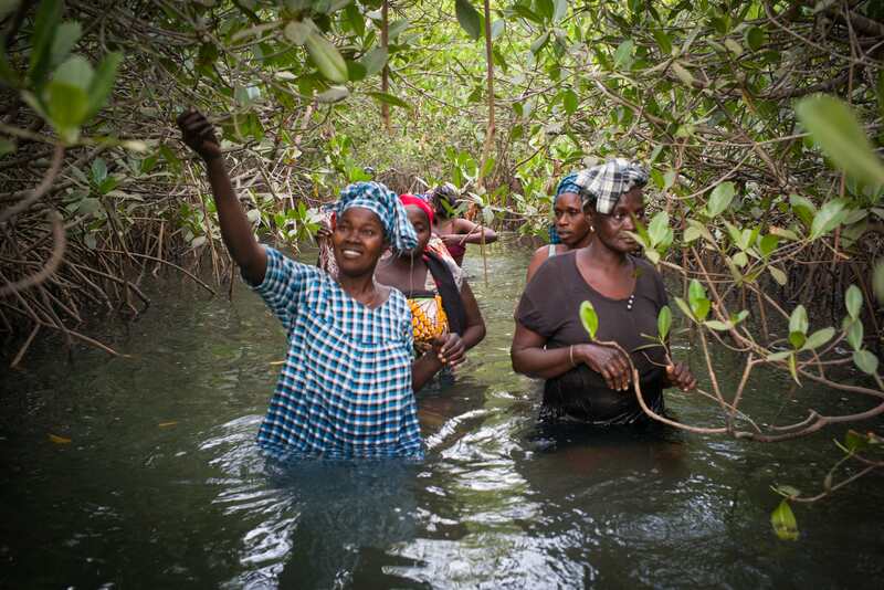 Women and shellfish: the GoodPlanet Foundation alongside the women of the Saloum Delta and Casamance update