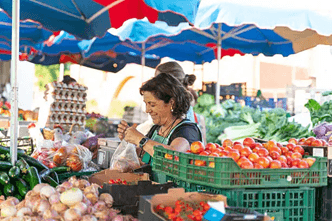 🌿 Breizh Malin: when eating local rhymes with solidarity 🌿 update