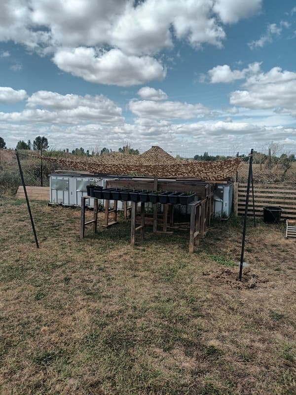 Une nouvelle serre reçue pour la pépinière du Sud (82) / D'autres plants en germination 🌱 update