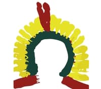 Association Forêt Vierge - AFV