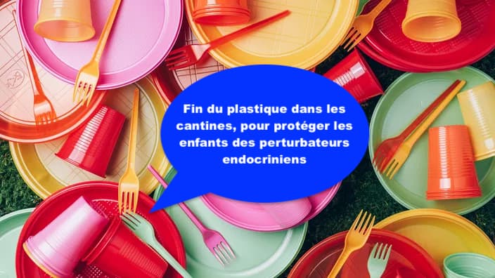 Protéger l'océan et ...nos enfants du plastique. Halte au plastique dans les cantines update