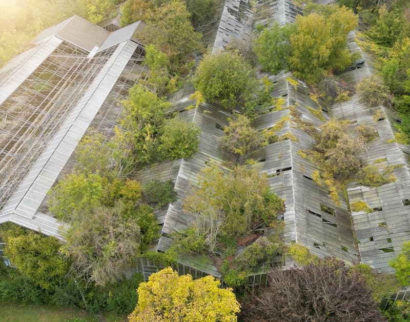 Obtention d’un deuxième terrain en faveur de la biodiversité d’Ile-de-France !  update