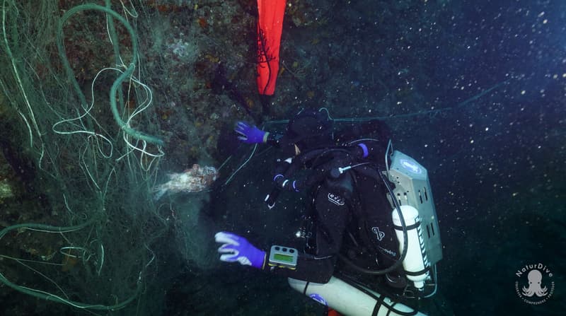 Etre réactif pour minimiser l'impact des filets de pêche update