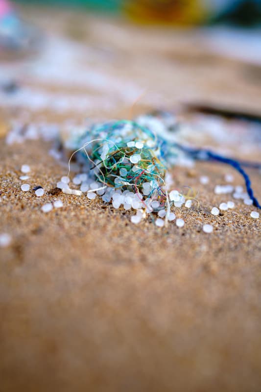 Le projet Plastidrugs, sélectionné par le comité scientifique de Pure Ocean et financé en partie grâce aux fonds levés par Captain Cause update