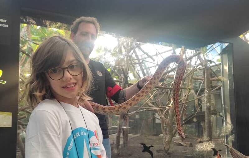 Dreamnight at the zoo !  update