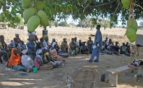 Practical beekeeping training begins update