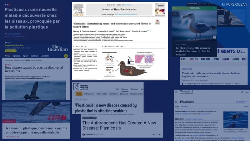 Des résultats impressionnants pour le projet MicroPOW, soutenu depuis 2021 par Pure Ocean update