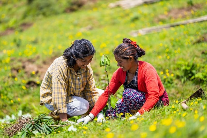 Conservation from generation to generation update