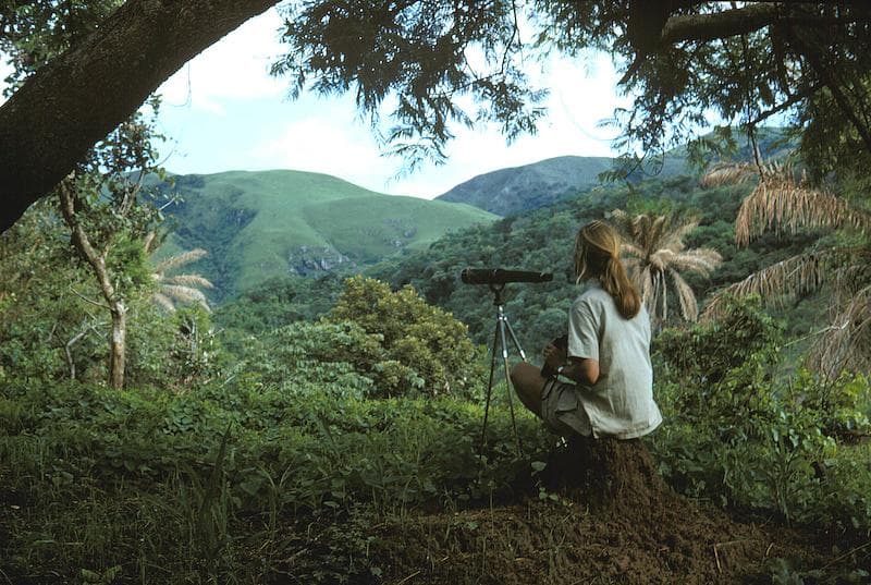 Image du projet 2