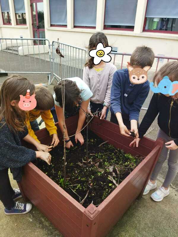 33,000 students raised awareness during the latest edition of the school version of Ma Petite Planète! update