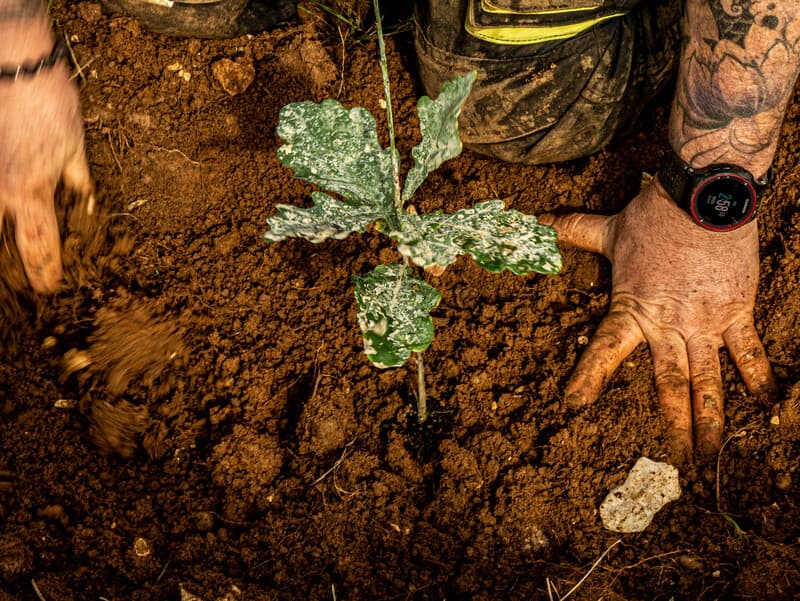 Winter season 2024 Coeur de Forêt France Sud-Ouest: between challenges and achievements update
