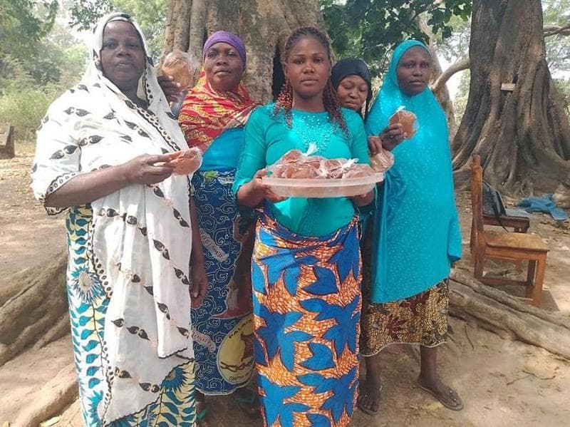 Focus on: the role of women in the GAPADOU project update