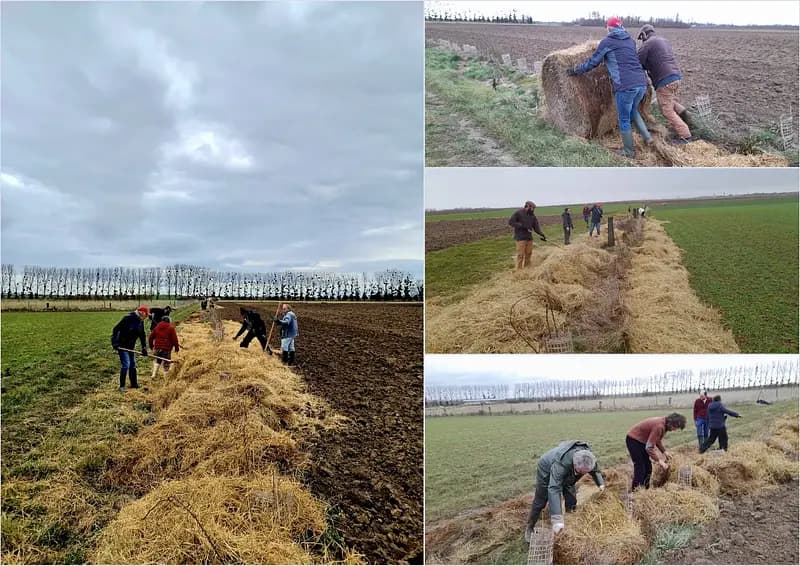 Agroforestry on our farms: it's time to plant! update