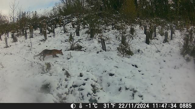 Image du projet 2