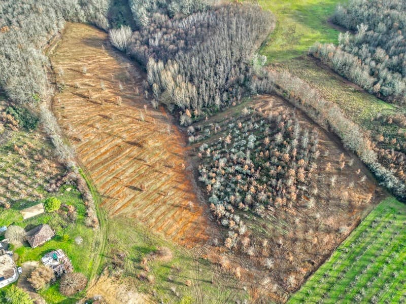 La pépinière YouCare prend forme dans le Sud de la France update