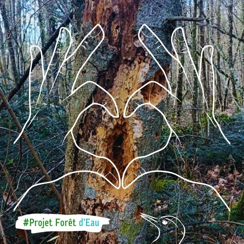 3e forêt protégée en Normandie ! update