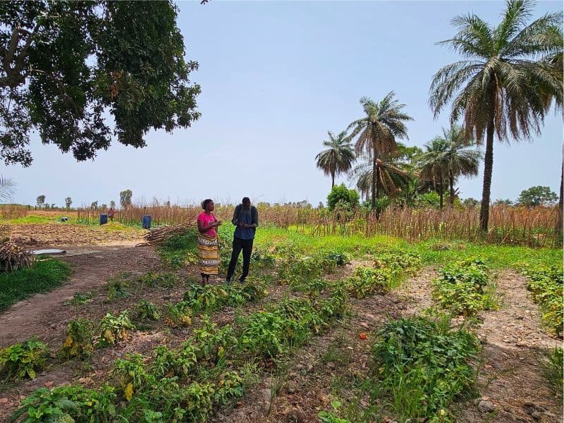 Sustainable agriculture as a response to the climate challenge in Casamance update
