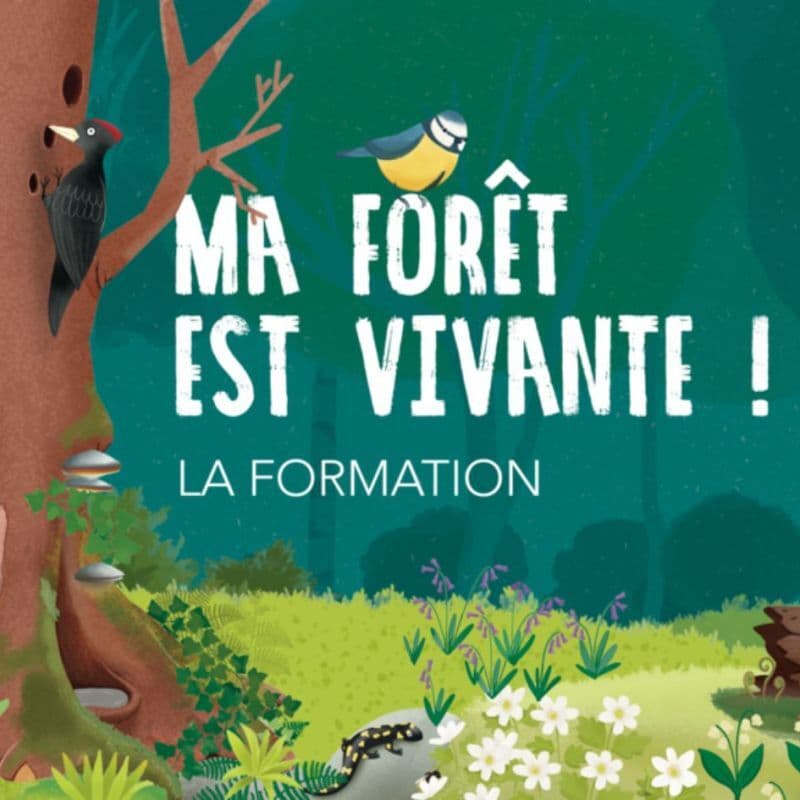 🌳 Ma Forêt est Vivante ! 👉 Une nouvelle étape dans notre projet !  update