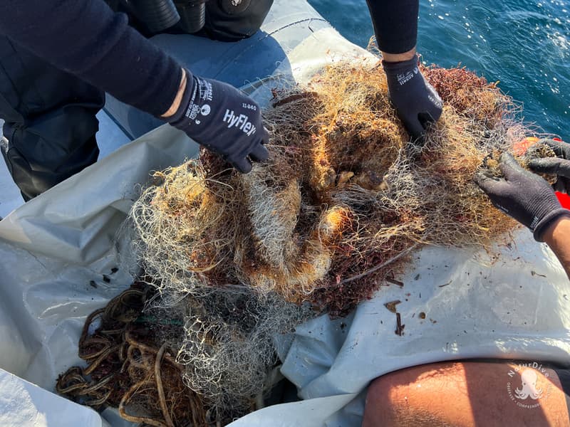 Dépollution de Filets fantômes en Méditerranée : nos engagements pour 2026 ! update