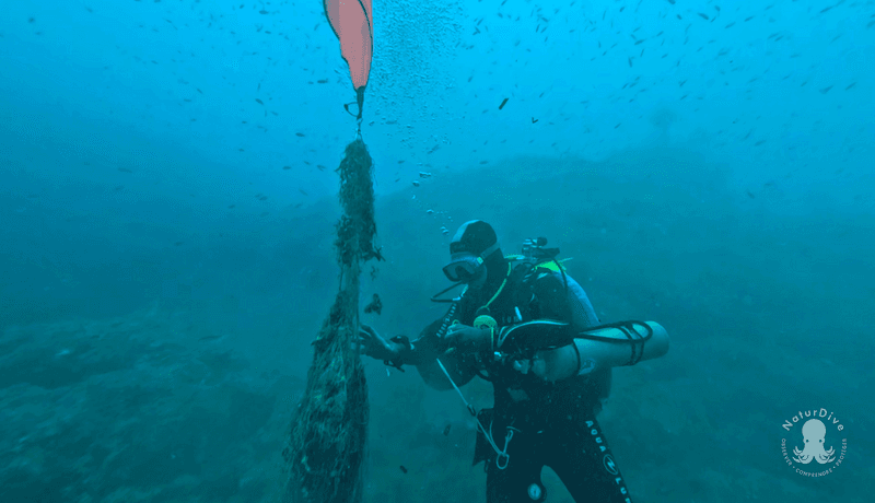 Nous sommes sous l'eau, et le projet DéFi-Méd avance ! update