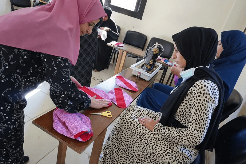 Humanitarian Crises: Menstrual Insecurity Among Women and Girls in Lebanon  update