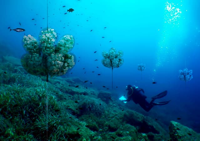 Image du projet 1