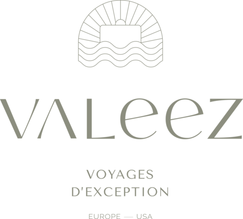 VALEEZ logo