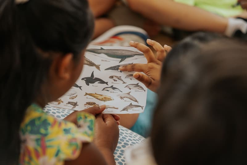 L'accès à la culture pour les filles du monde entier image